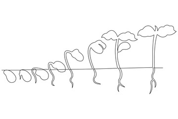 Continuous single line art drawing of plant growth processing from seed outline vector