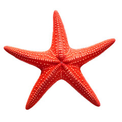 red color star fish PNG