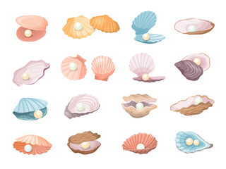 Natural pearl. Aquatic seashell with pearls recent vector luxury beautiful jewelry