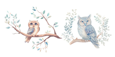 cute owl soft watercolour vector illustration