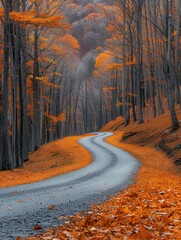 A Winding Road Through a Forest