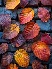 Leaves Gathered on Brick Wall