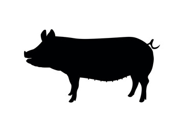 pig icon, simple black vector silhouette