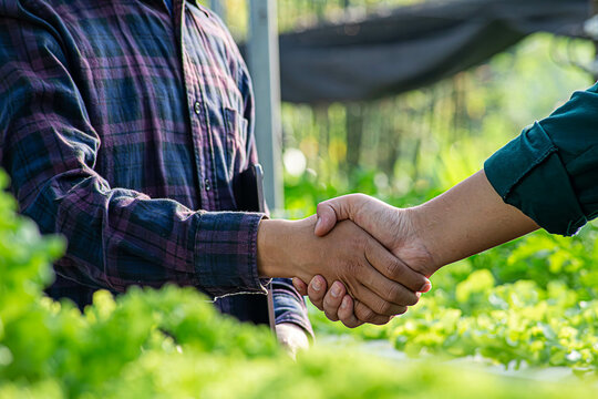Close-up of African farmers shaking hands on the background of a soybean field