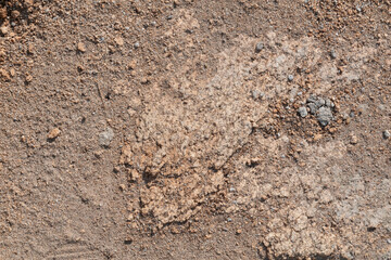 texture of old dry tuff stone with sand