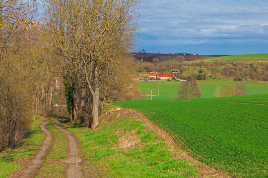 Elbe Mulde Radweg