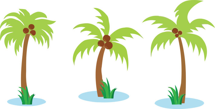 Palm trees vector set. Summer silhouette Black palm tree icon symbol vector sign isolated on white background. Vector illustration.	
