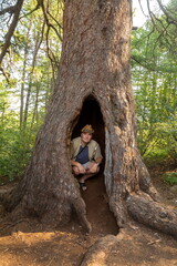 A 600-year-old giant larch growing near the Khudolaz River in the Republic of Bashkortostan in the...