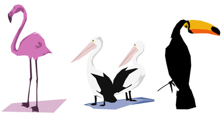 3 Exotische Vögel - Flamingo, Pelikan, Tukan.  PNG, 300 DPI, 10191px x 5462px, transparenter Hintergrund © BreadlessPixels