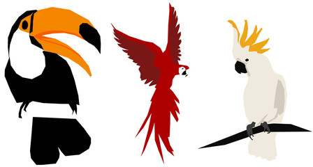 3 Exotische Vögel - Tukan Papagei, Kakadu.  PNG, 300 DPI, 10191px x 5462px, transparenter Hintergrund © BreadlessPixels