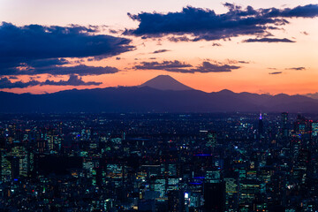 Tokyo city view from high tower, including Fuji mountain
