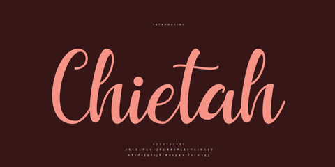 signature Font Calligraphy Logotype Script Brush Font Type Font lettering handwritten	
