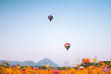 Field of flowers with balloons visible in the background