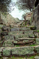 stone stairs with moss