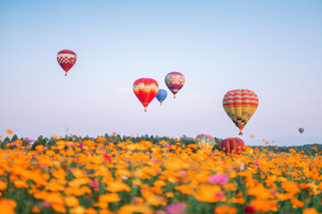 Fototapeta premium Field of flowers with balloons visible in the background