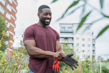 Smiling man putting on gloves in urban vegetable garden - obrazy, fototapety, plakaty