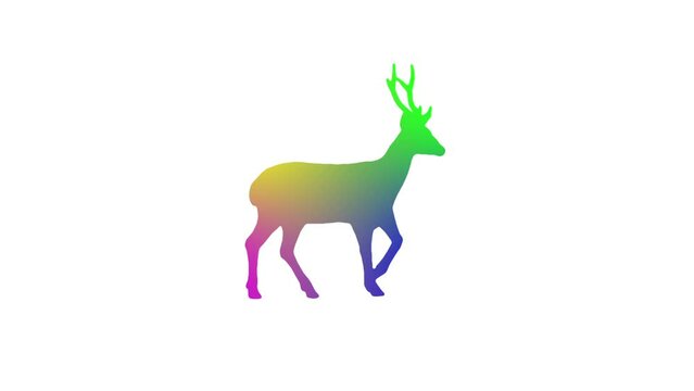 Beautiful color gradient deer walking on the white background. Video looping for compositing and presentation.