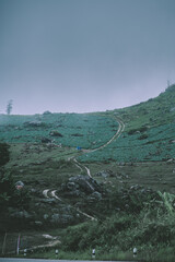 Mountain footpath with green fields