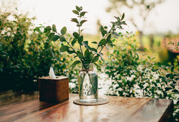 plant pot with ornamental plant which is placed on the retro style table
