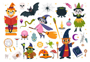 Animals wizards with magic tools. Witches on broom and with magical books. Wizard wear mantle and witch hat. Cartoon sorcerers classy vector characters