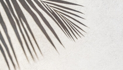 Minimal summer concept with palm leaf and shadow on a white table against a beige wall background