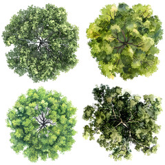 4 Trees top view, watercolor style vector trees