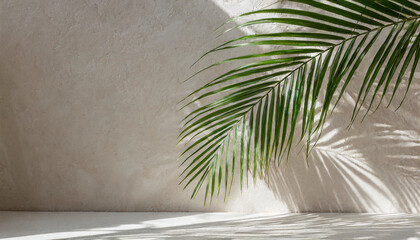 Minimal summer concept with palm leaf and shadow on a white table against a beige wall background