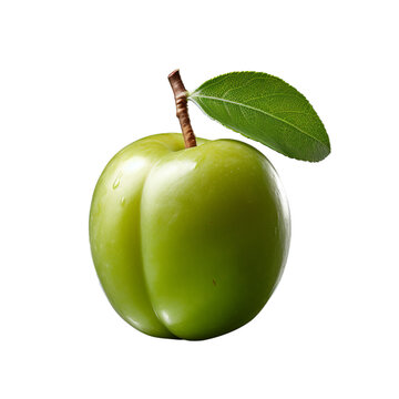 jujube isolated on transparent background, png