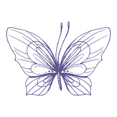 Delicate butterfly with patterns on the wings, simple, sweet, light, romantic. Illustration graphically hand-drawn in lilac ink in line style. Isolated EPS vector object