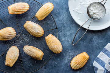 Vanilla French Madeleines dusted with powdered sugar.