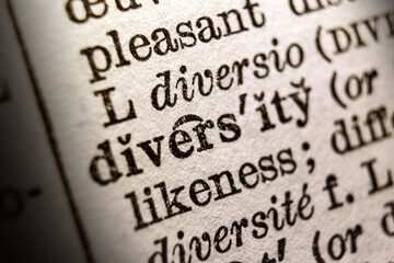 Word "diversity" printed on book page, macro close-up