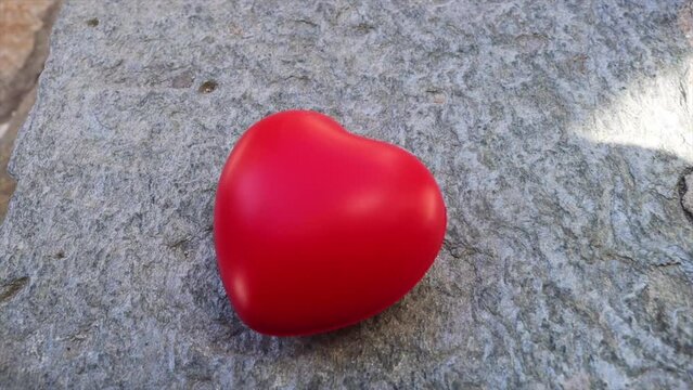 Corazon vivo que ama, abraza y espera