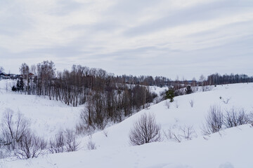 winter landscape with snow