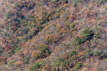 View of the valley in the autumn mountains 