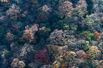 Fototapeta na wymiar View of the valley in the autumn mountains 