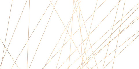 Abstract background with lines. Golden lines on White paper. Line wavy abstract vector technology line pattern background.