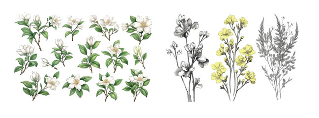 Hand-Drawn Collection of Blooming Flowers: A Detailed and Artistic Illustration in Monochrome