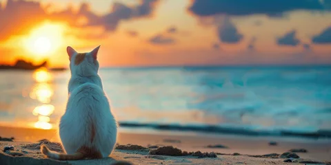 Tuinposter White Cat Watching Sunrise on Blue Seaside Beach © Ahasanara