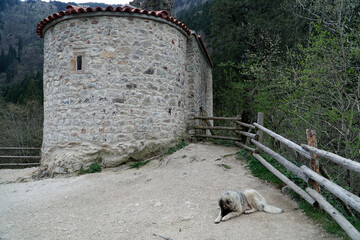A large shaggy dog lying near an old tower with a wooden fence