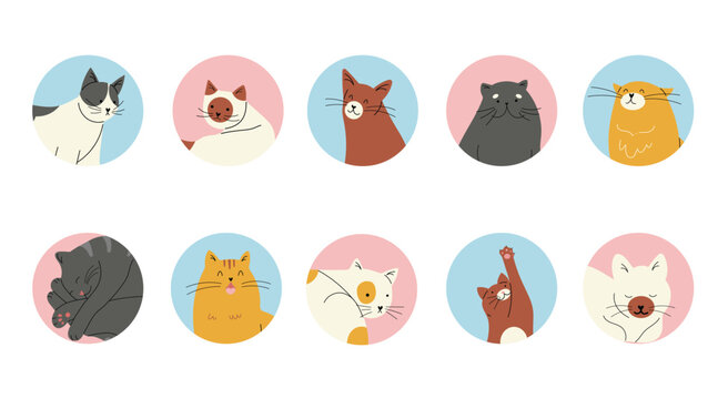 10 Circle shape icons with different cat breeds, hand drawn vector illustrations isolated on white background