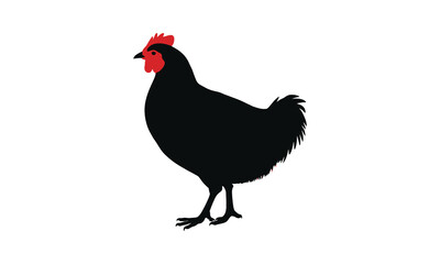 Fototapeta premium chicken silhouette