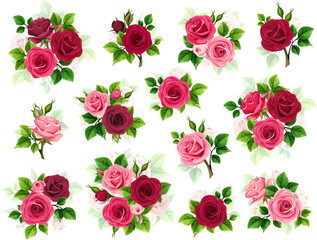 Red and pink roses. Big set of vector design elements with red and pink rose flowers and green leaves isolated on a white background