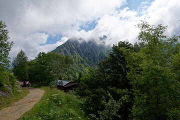 Fototapete bei efototapeten.de bestellen   