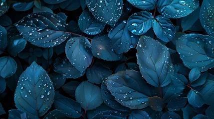 Zelfklevend Fotobehang water drops on a leaf © AI imagebank