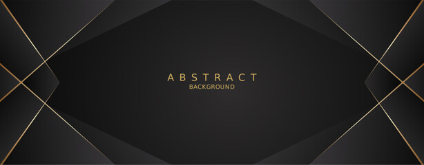 luxury premium black background and gold lines