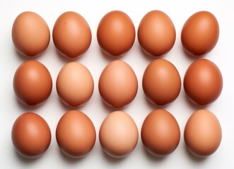 Organic Brown Chicken Eggs on White - Natural Protein Source, Flat Lay