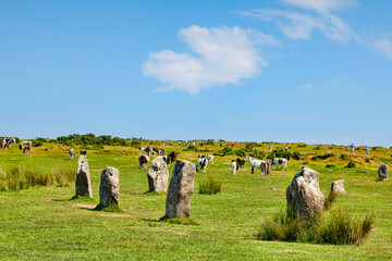Bodmin Moor, Cornwall, UK - The Hurlers stone circle near Minions, the highest village in Cornwall, with wild ponies grazing and people taking photos of them.