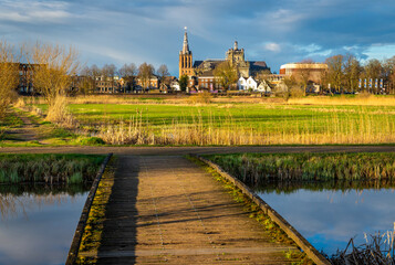 St. John's Cathedral in 's-Hertogenbosch seen from Bossche Broek nature reserve