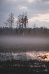 Evening fog above the flooded field in countryside area 