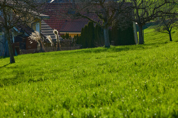 Frühling am Land. Grüne Wiese und altes Haus.